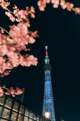 Tokyo Sky Tree