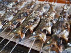 ヤマメの塩焼き