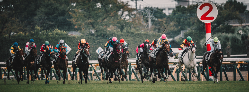 東京競馬場