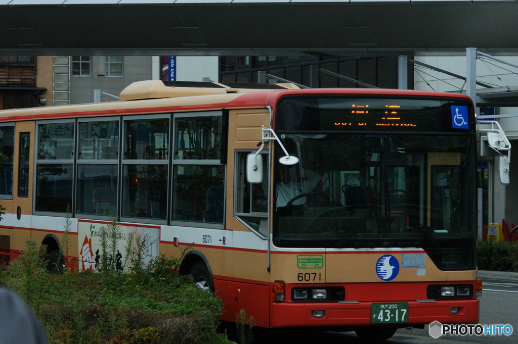港へ向かう道中で