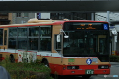 港へ向かう道中で