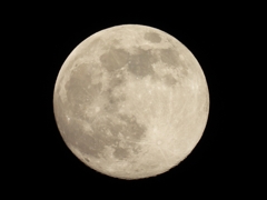 DSCN0434：十三夜の月