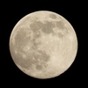DSCN0434：十三夜の月
