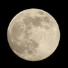 DSCN0435：十三夜の月