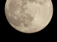 DSCN0441：十三夜の月