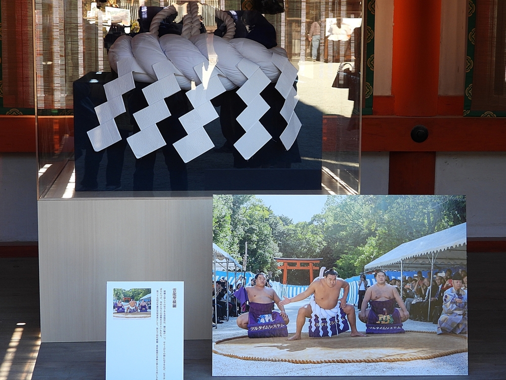 DSCN1320：豊昇龍奉納土俵入り