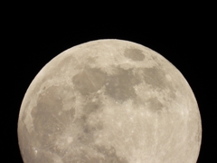 DSCN0439：十三夜の月