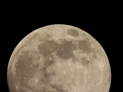 DSCN0428：十三夜の月