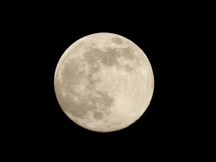 DSCN0437：十三夜の月