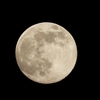 DSCN0431：十三夜の月