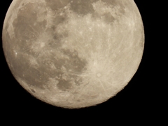 DSCN0424：十三夜の月