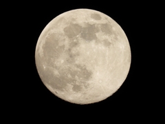 DSCN0442：十三夜の月