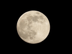 DSCN0436：十三夜の月