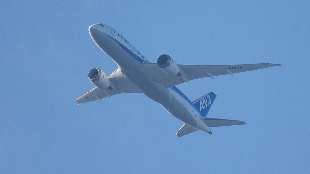 DSCN0781：ＡＮＡ機