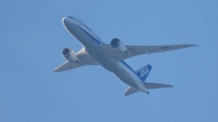 DSCN0781：ＡＮＡ機