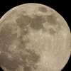 DSCN0427：十三夜の月