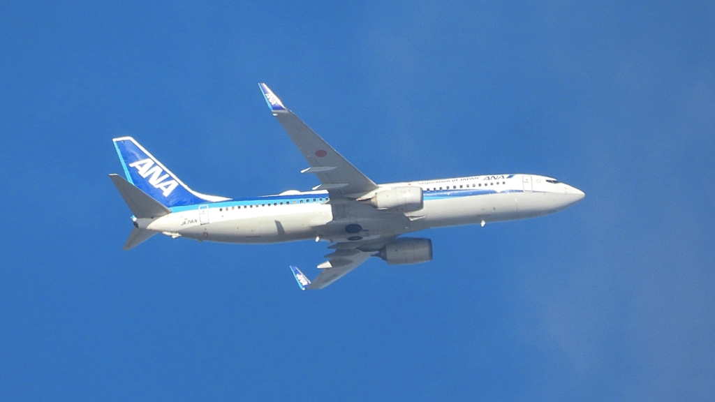 DSCN2246：ＡＮＡ機