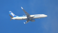 DSCN2246：ＡＮＡ機