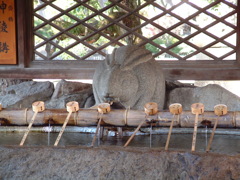 ウサギさま、手水をいただきます。