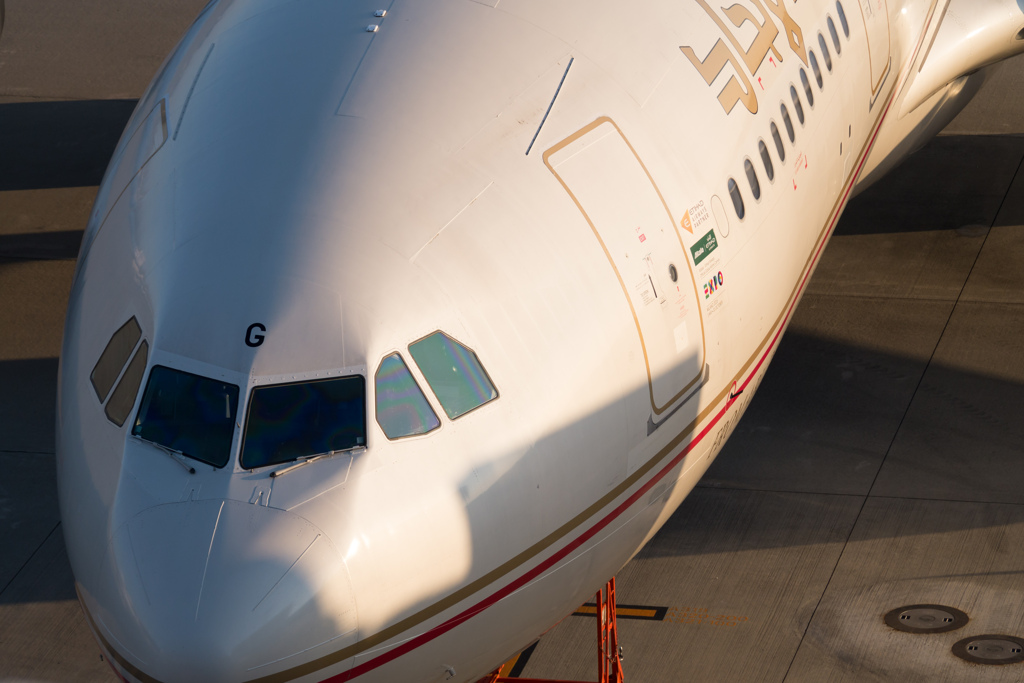 飛行機