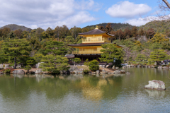 金閣寺