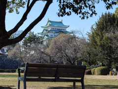名古屋城でひと休み