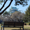 名古屋城でひと休み