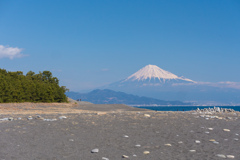 三保の松原からの富士山