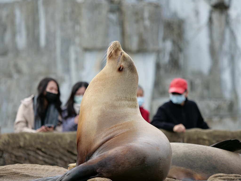 背伸び？