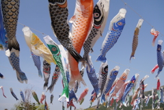 こどもの日