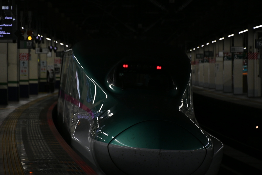 E5系新幹線　大宮駅で撮影