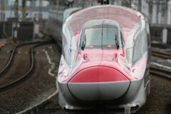 E6系　大宮駅で撮影