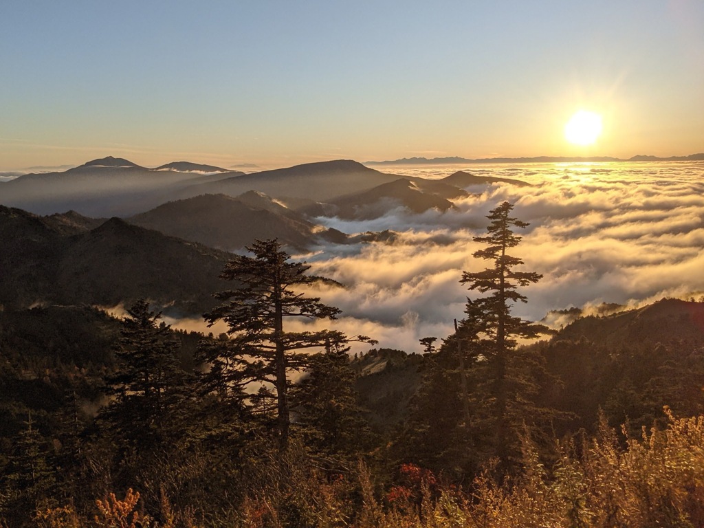 白根山で撮ったどぉ〜　2024年10月