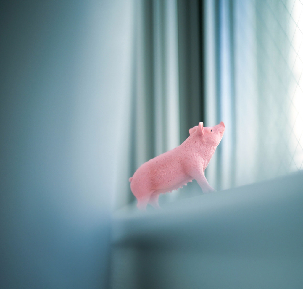 外の世界に憧れて