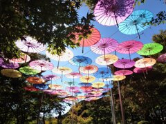 彩り、色とりどり。