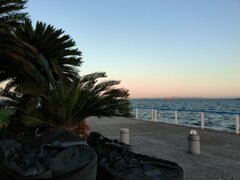夏の名残。