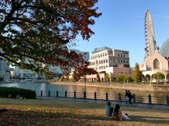 おもいおもいの夕べ