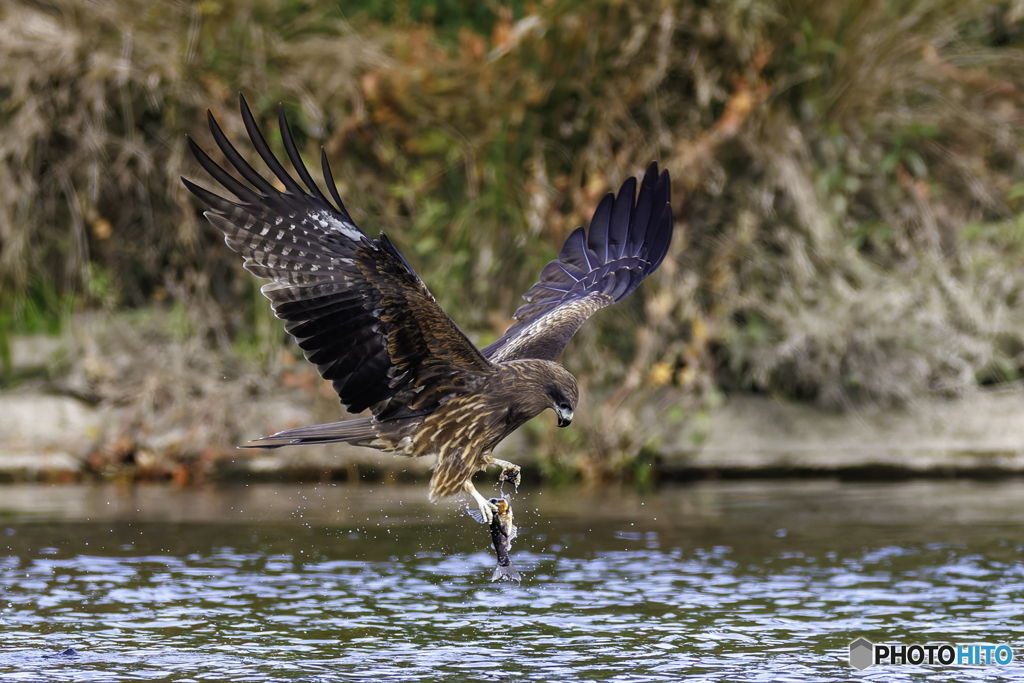 落としてまった