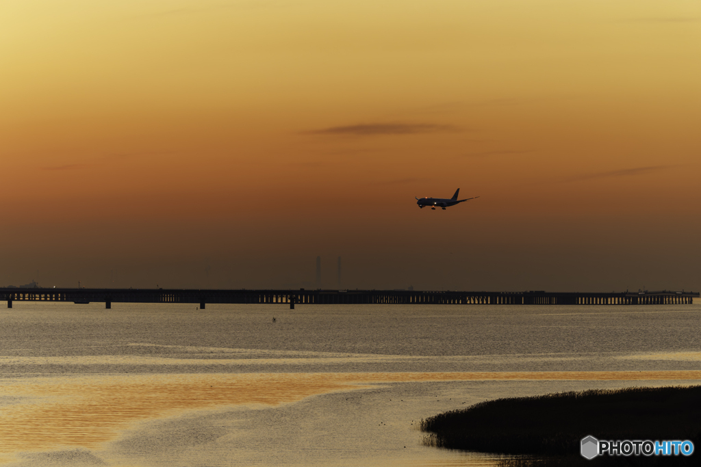 オレンジの世界