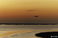 オレンジの世界