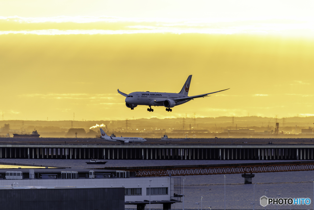 朝陽に照らされた着陸1
