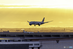 朝陽に照らされた着陸1