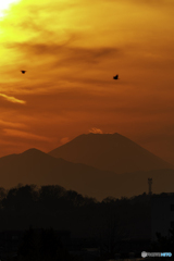 富士山頂から煙？