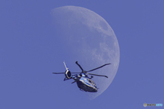 神奈川県警察航空隊たんざわ