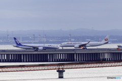 赤組青組、新年のご挨拶2026