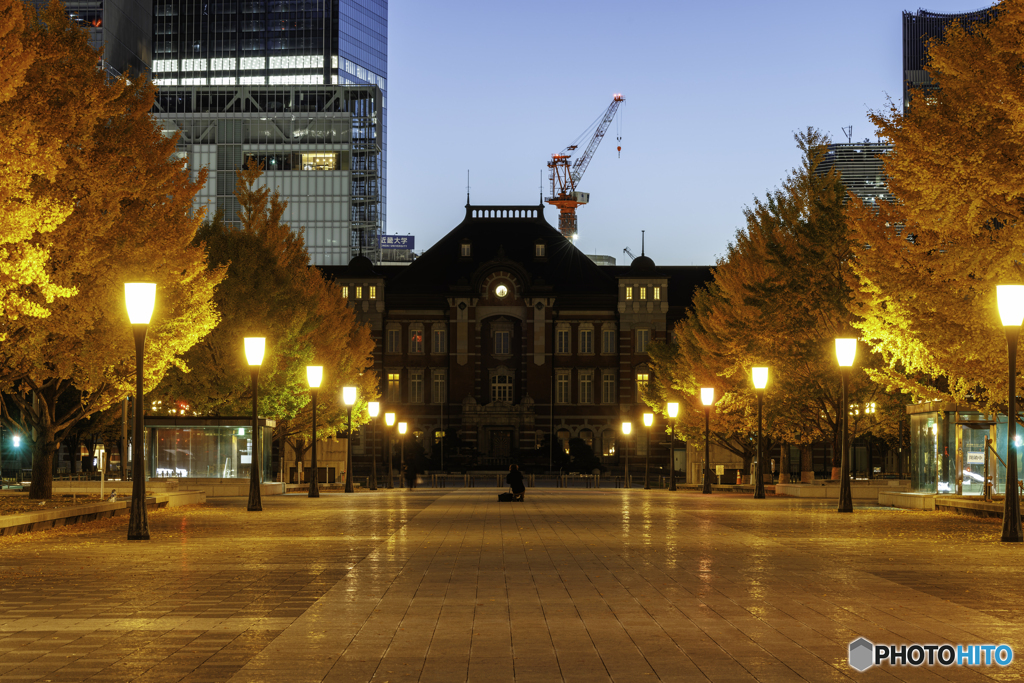 早朝の行幸通り