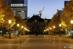 早朝の行幸通り