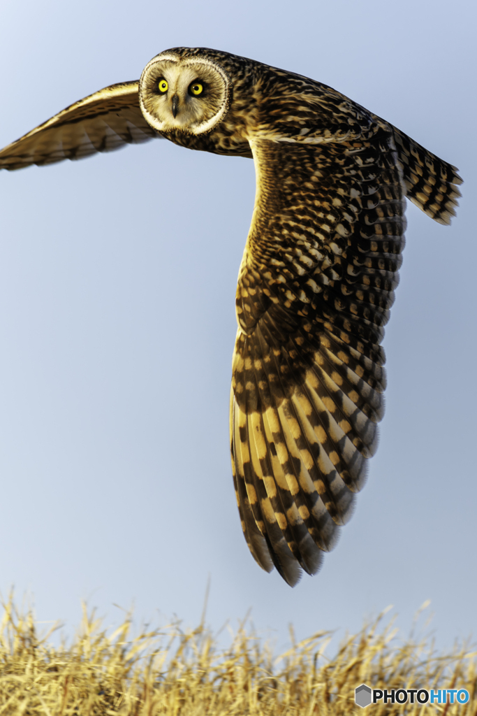 君との2年ぶりの出会い2