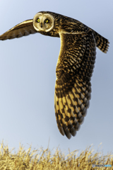 君との2年ぶりの出会い2