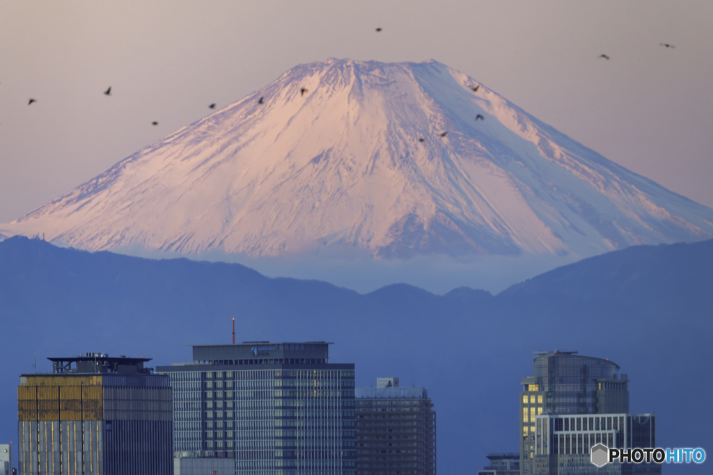朝焼けに染まった富士山